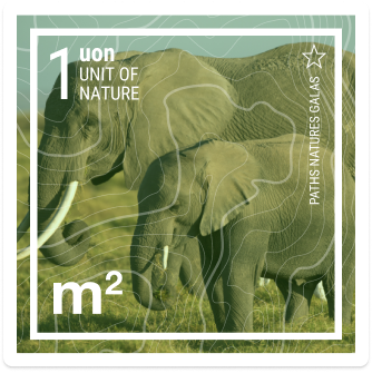 uon-image